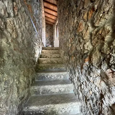 Bellaria Il Boschetto Ferienhaus *